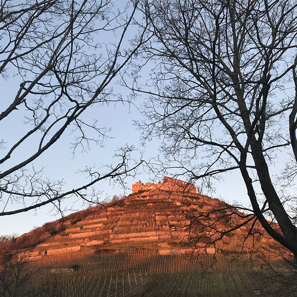 Schlossberg und Burgruine. Abendsonne